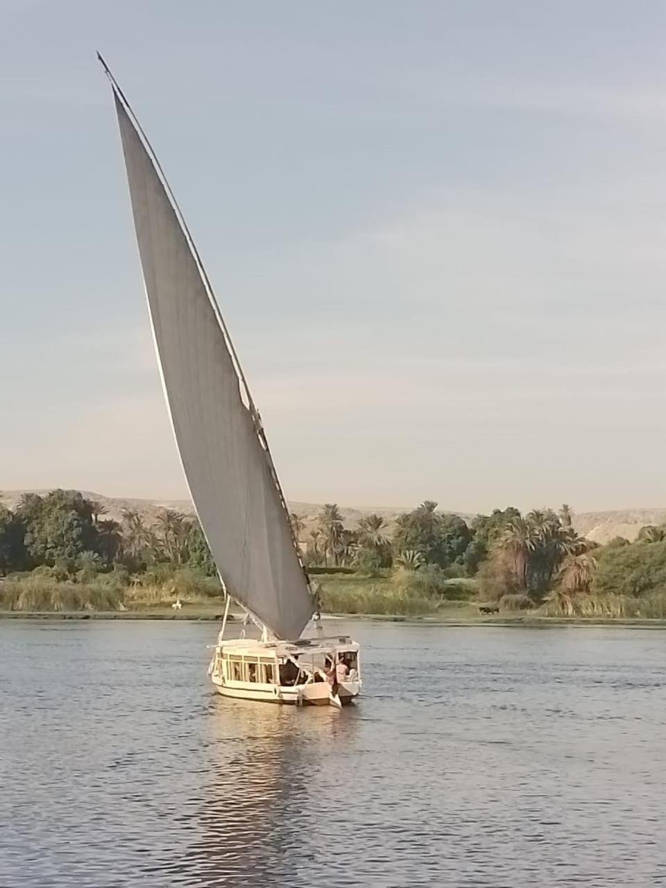 Nile Felucca Adventure Hotel Asszuán Kültér fotó